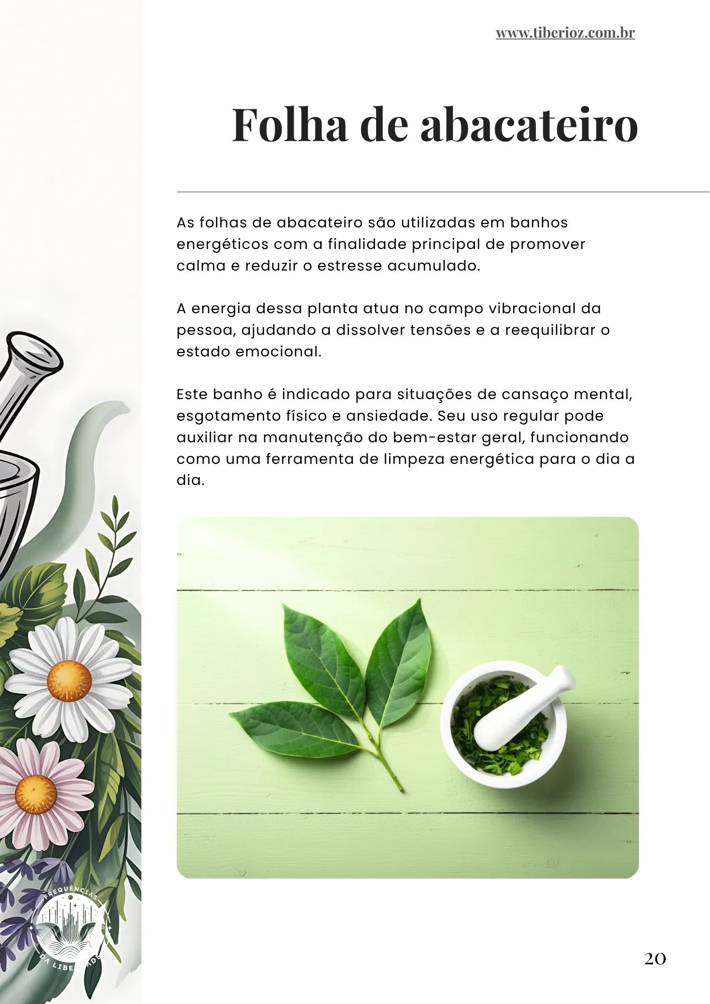 página interna do e-book 110 Banhos de Limpeza Energética