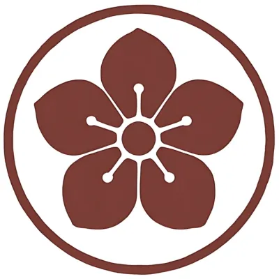 90 protocolos de auricoloterapia 1