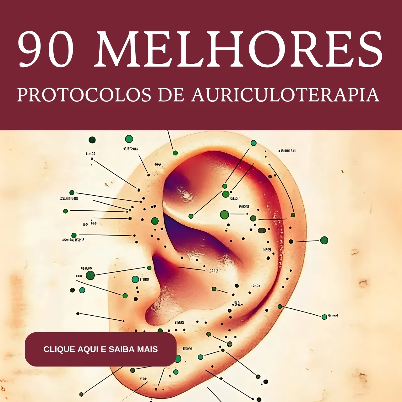 Qual a diferença entre acupuntura e auriculoterapia 1 90 protocolos de auriculoterapia