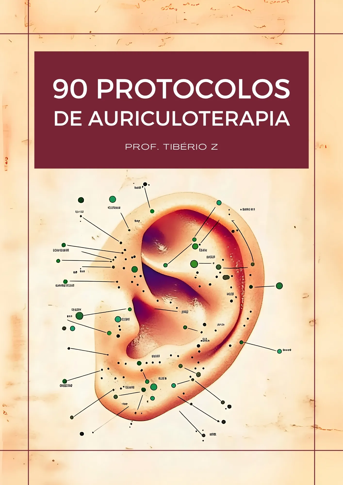 auriculo 1