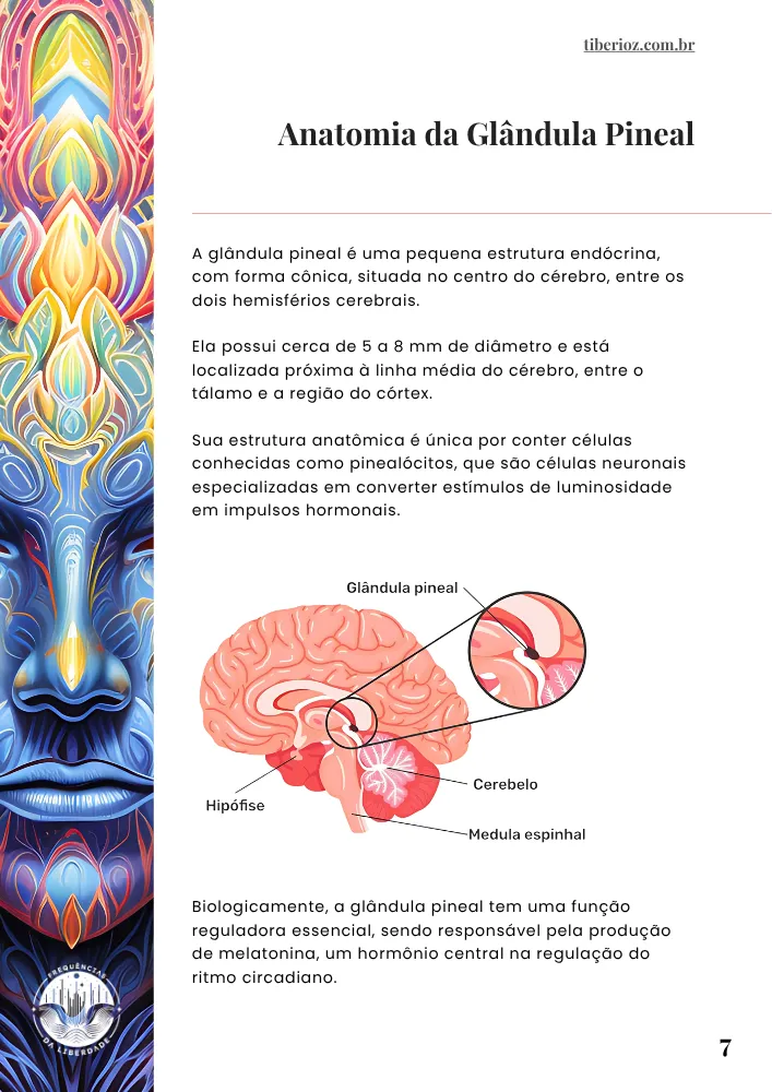 Exercícios para abrir o terceiro olho 5