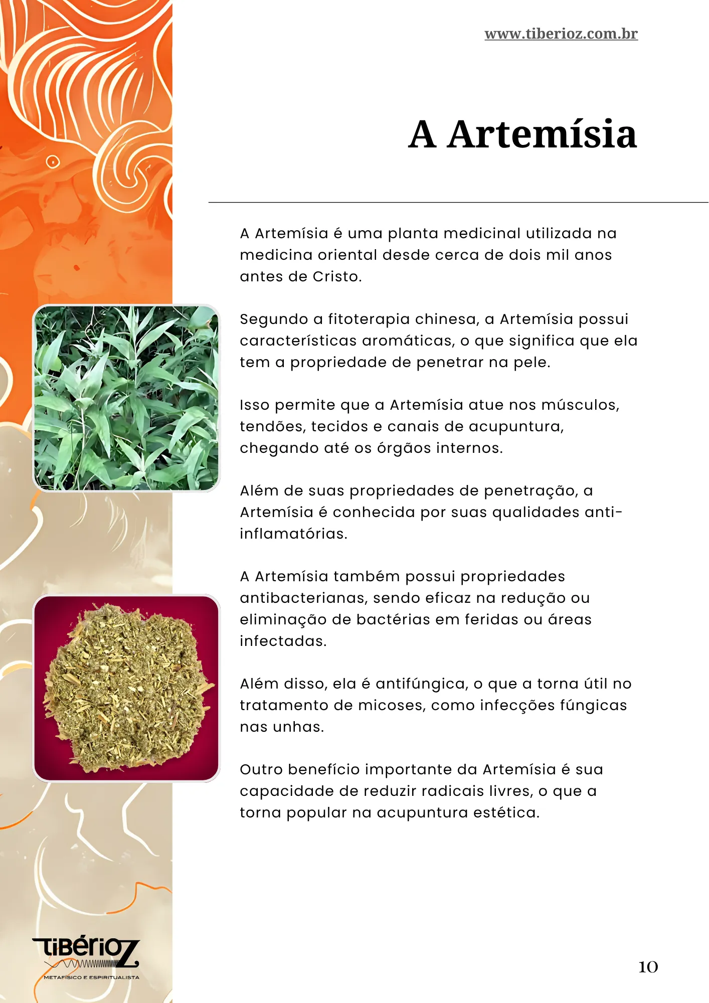 Guia de moxaterapia 4