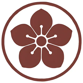 Protocolos de auriculoterapia 4 11zon