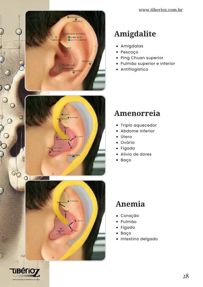 Protocolos de auriculoterapia 8